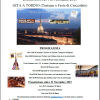Gita a Torino per turismo in centro e festa di cioccolato